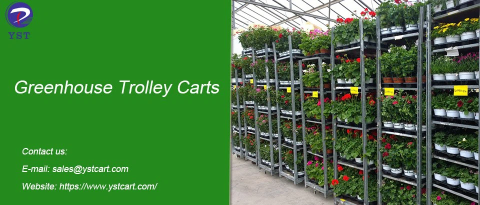Greenhouse Trolley Carts-11 Greenhouse Trolley Carts-11