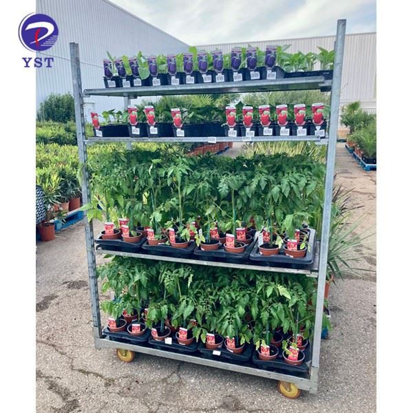 Dutch Plant Trolley Danish Trolley Metal