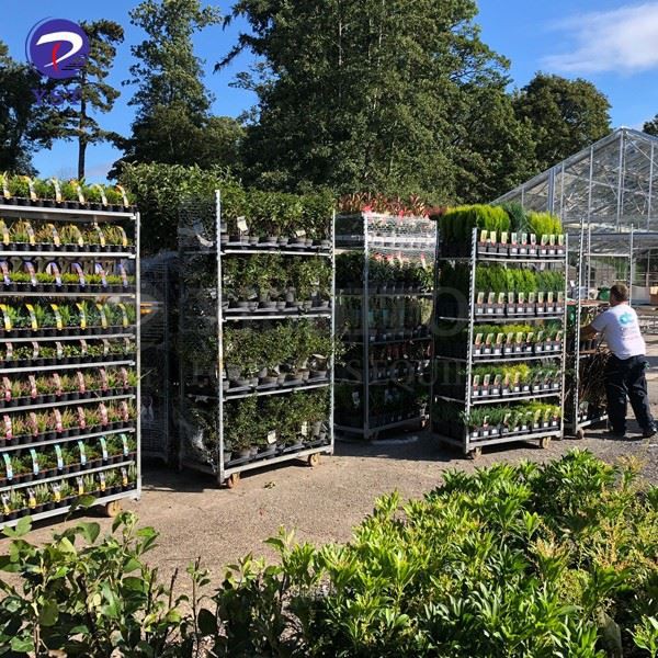 Wire Mesh Nursery Trolley