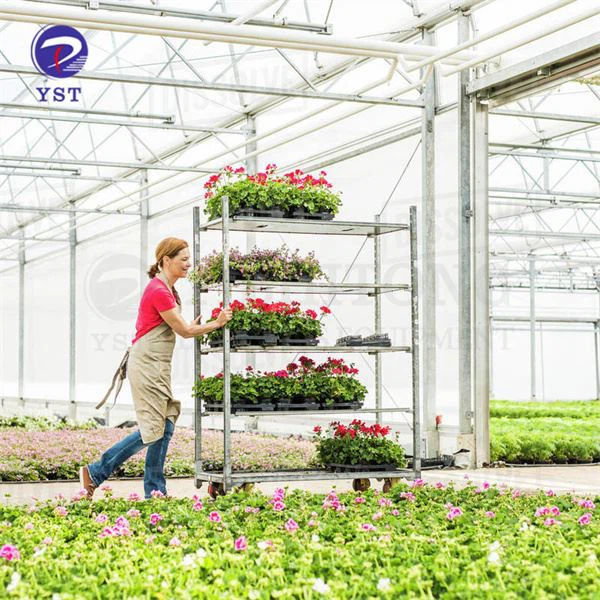 Stalak za transport cveća