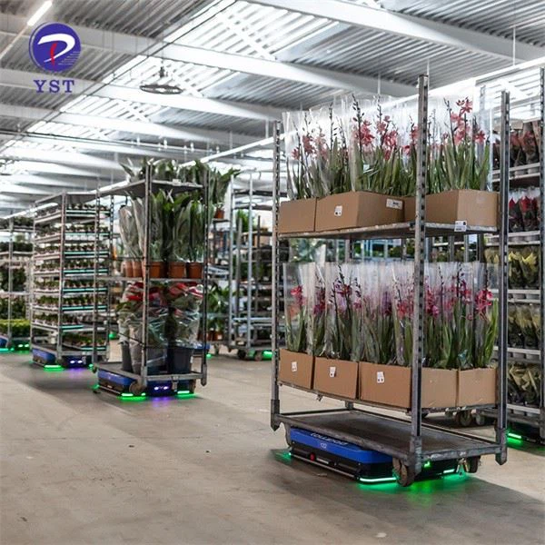 Greenhouse Transport Metal Flower Trolley Cart