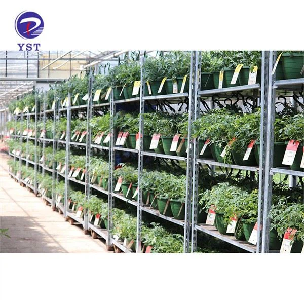 Greenhouse Transport Metal Flower Trolley Cart