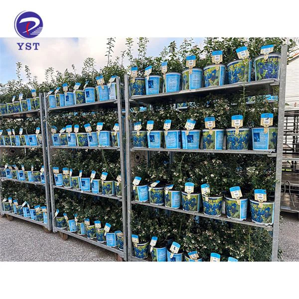 Pokretna kolica za biljke