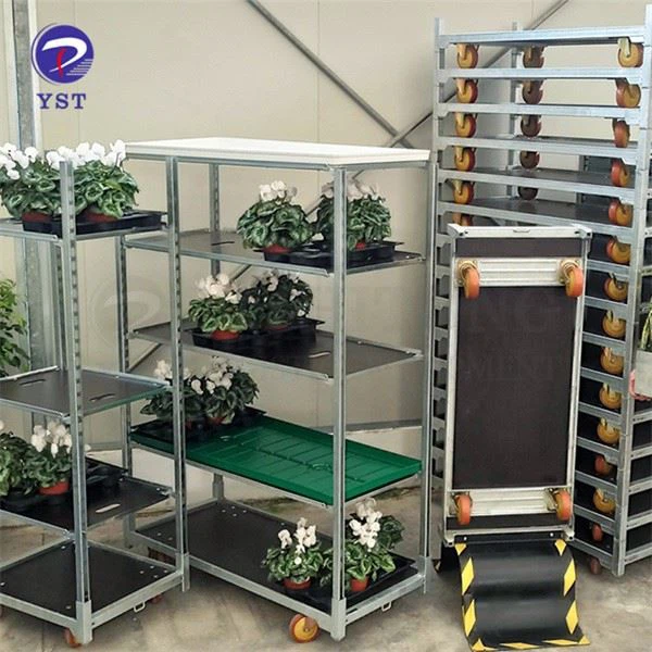 Plant Moving Trolley