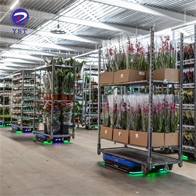 Rasadnik Heavy Duty Greenhouse Cart
