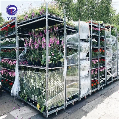 Kolica za prevoz rasadnika