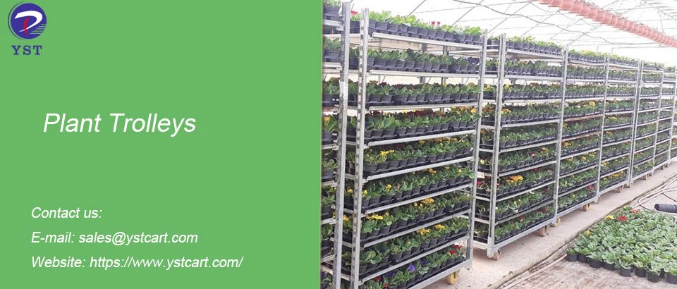 Plant Trolleys-3 Plant Trolleys-3