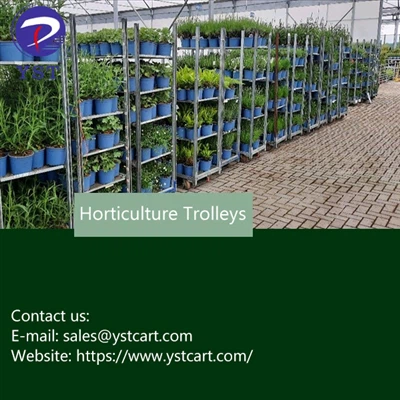 Odabir pravih kolica za hortikulturu za specifične potrebe